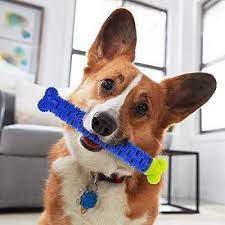 Osso de Silicone Para Cães Escova Dentes